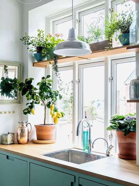 how to bring greenery into a kitchen