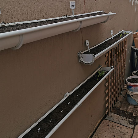gutter garden for sowing seeds and growing seedlings