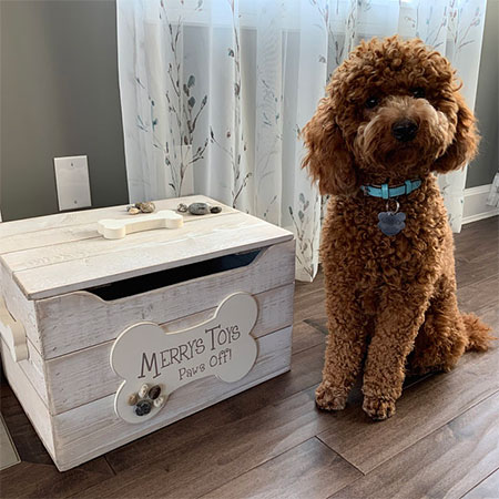 how to make toybox for dogs toys