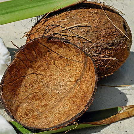 WHAT IS COCO PEAT OR COCO COIR