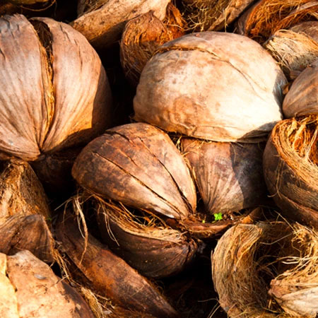 Eco-friendly gardening practices