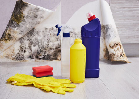 SIGNS OF DAMP OR MOULD ON WALLS