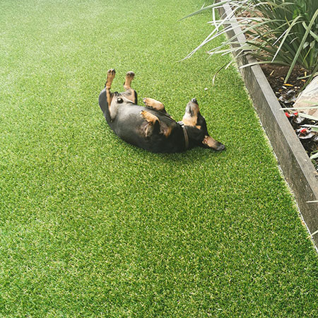 artificial grass lifetime exceeds 10 years