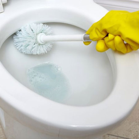 smell coming from toilet