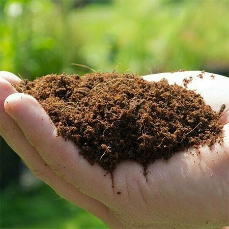 Using Coco Products For Home Gardening