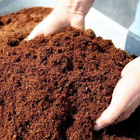 WHAT IS COCO PEAT OR COCO COIR