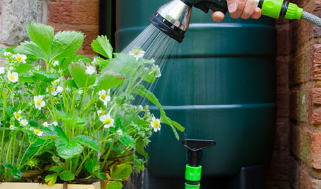 The benefits of rainwater harvesting