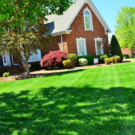 5 DIY Lawn Care Tips to Get a Beautiful Lawn