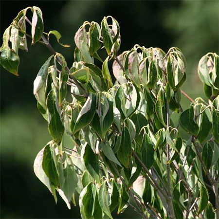 Be Water Wise During Winter