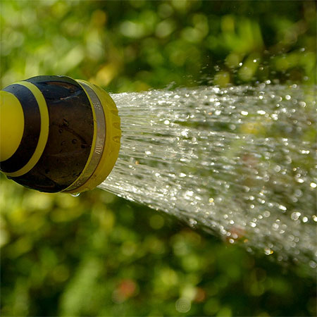 when is the best time to water garden