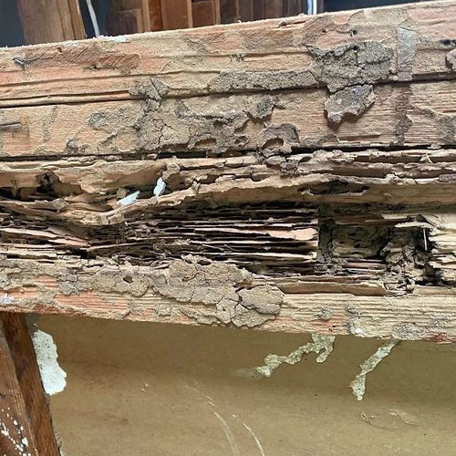 termite damage to deck