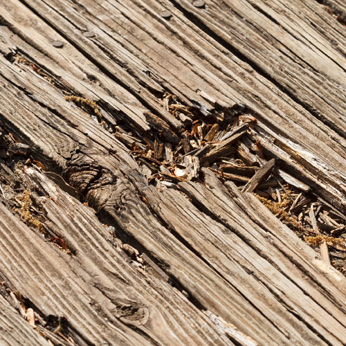 wood rot damage to deck