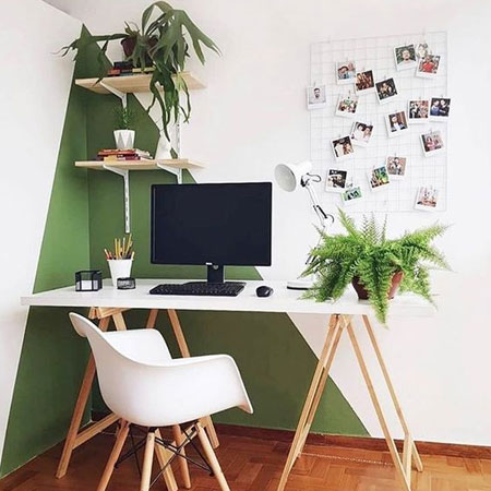 plants for home office