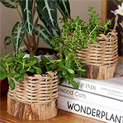 how to make basket planters