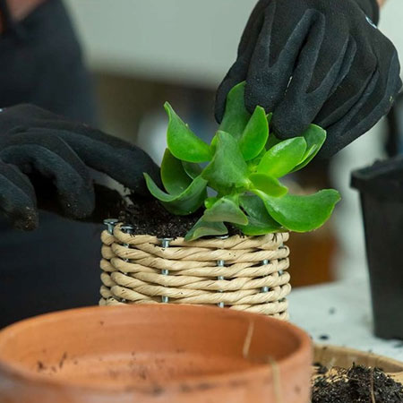 Make Pretty Basket Planters