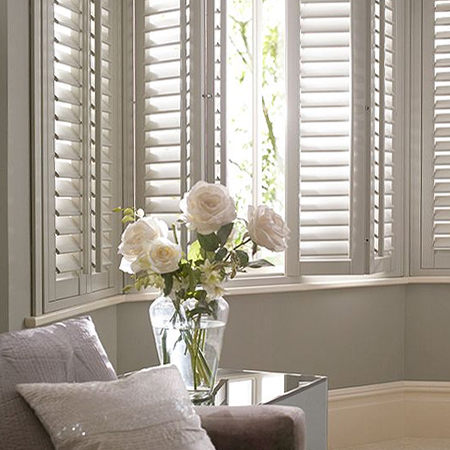 shutter or louvre blinds