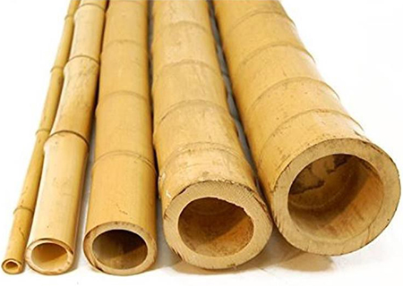 where to buy bamboo canes or poles