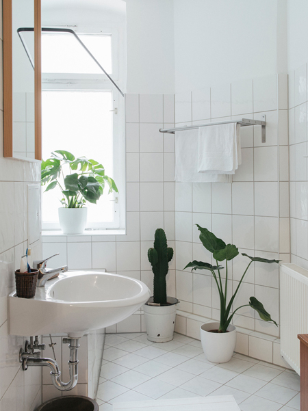 paint or tiles in bathroom