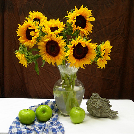 Why you Should Consider Growing Sunflowers in your Garden