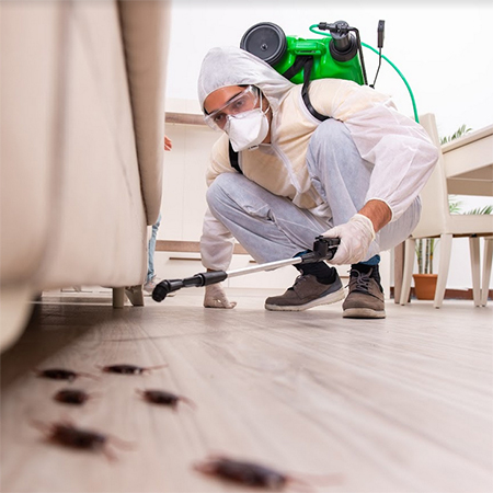 5 Convincing Reasons To Hire Pest Control Services