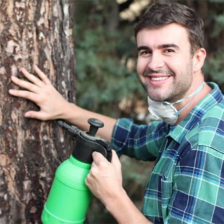 5 Convincing Reasons To Hire Pest Control Services