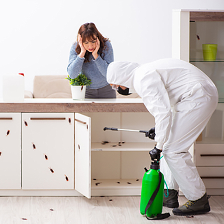 accidential poisoning of pets