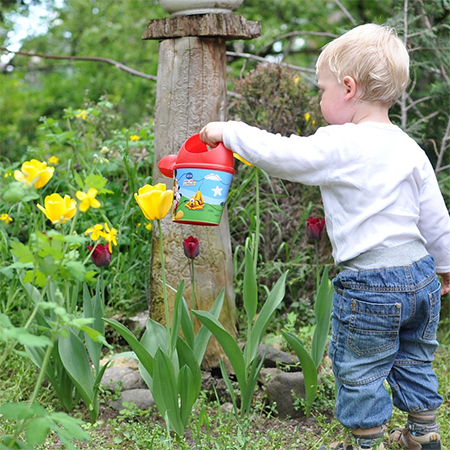 5 Ways to get your Kids Unplugged and Outside 