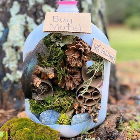 how to make a bug hotel