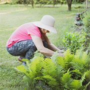 february gardening tips
