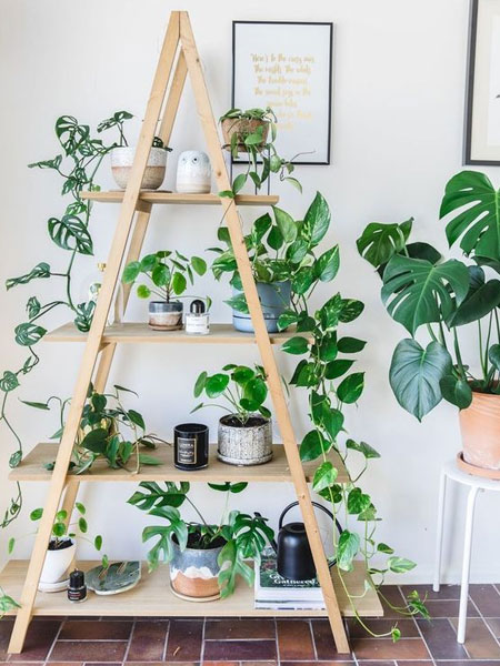make wooden plant stands