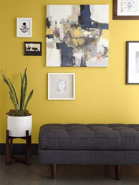 illuminating yellow feature wall