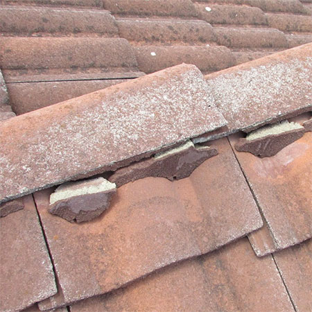 check roof for leaks
