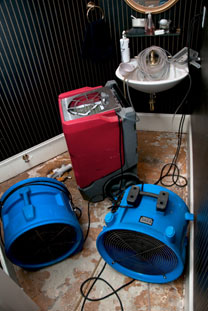 5 Things A Water Damage Repair Company Can Do For Your Flood Damaged Property