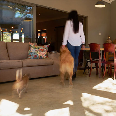 Concrete Floors Are Pet Friendly