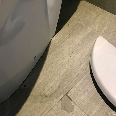 fix leaks around toilet