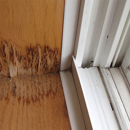 check seal around windows for leaks