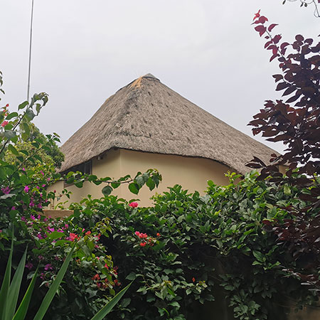 When Should You Replace A Thatch Roof?