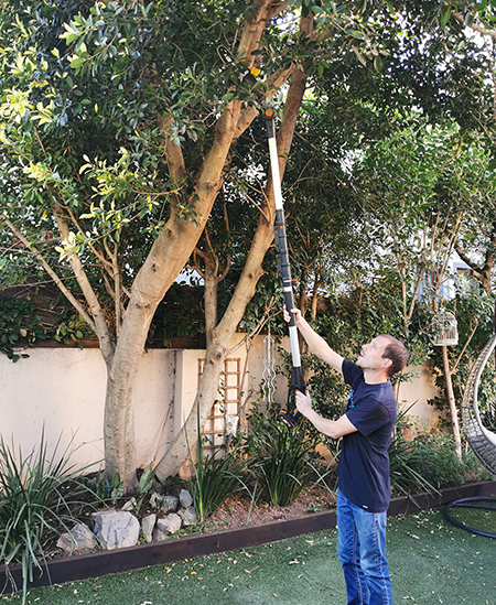 worx pole saw for trimming trees and large shrubs