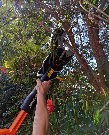 worx pole saw for trimming large trees and shrubs