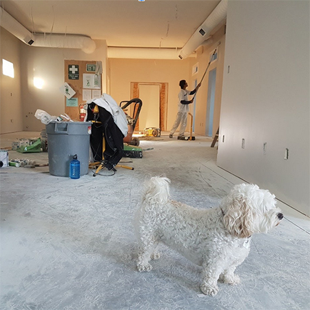 6 Home Remodeling Tips to Keep You on Time and Budget