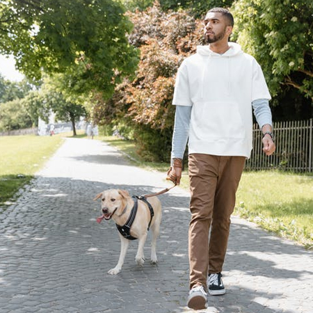 be mindful of the animal bylaws in your area