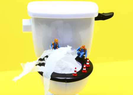 Fix Your Clogged Toilet