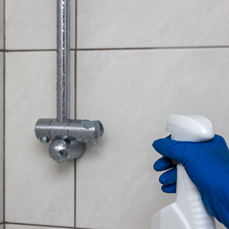 spray bottle filled with 50% water and 50% white spirit vinegar 