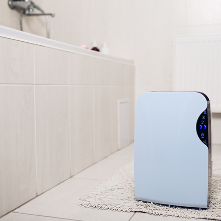 dehumidifier for bathrooms