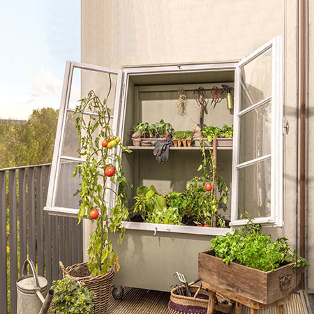 How To Have Sustainable Garden All Year Round