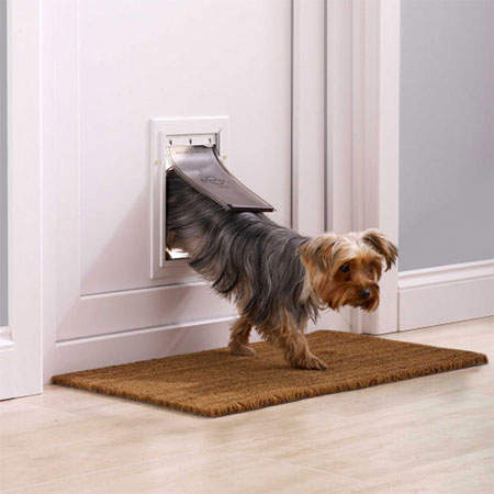 How To Install A Pet Flap Or Pet Door