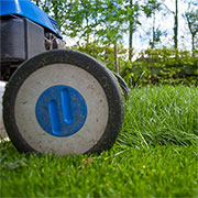 top tips for transforming lawn