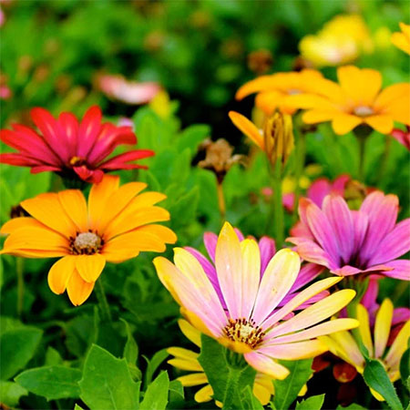 SPRING HOME MAINTENANCE