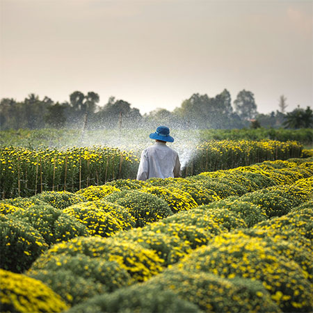 Easy Tips For E-Agriculture Online Selling (Beginner's Guide)