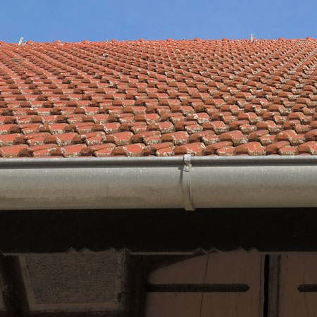 Clean gutters and downpipes